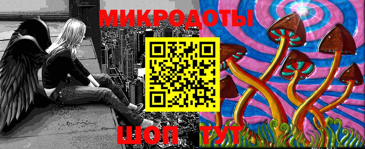Псилоцибиновые грибы Psilocybe Осинники