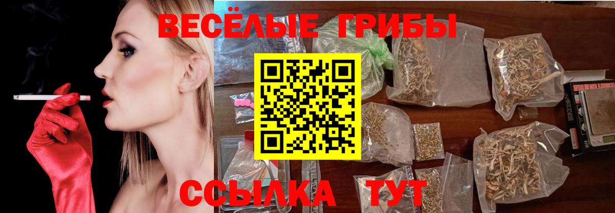 Осинники  закладка  Вход с VPN  Псилоцибиновые грибы Psilocybine cubensis 